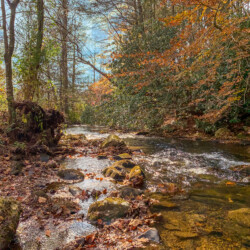 creekside ellijay georgia cabin rentals