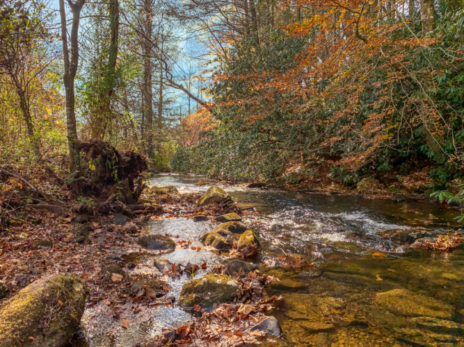 creekside ellijay georgia cabin rentals