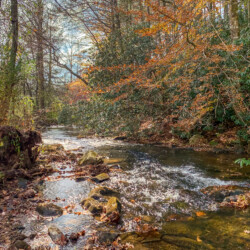 creekside ellijay georgia cabin rentals