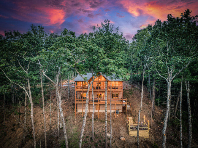 pet friendly cabins in blue ridge ga
