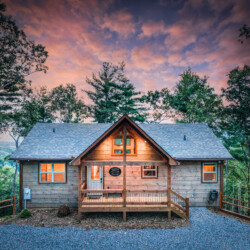 pet friendly cabins in blue ridge ga