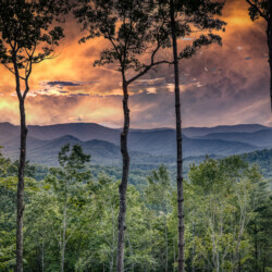 pet friendly cabins in blue ridge ga