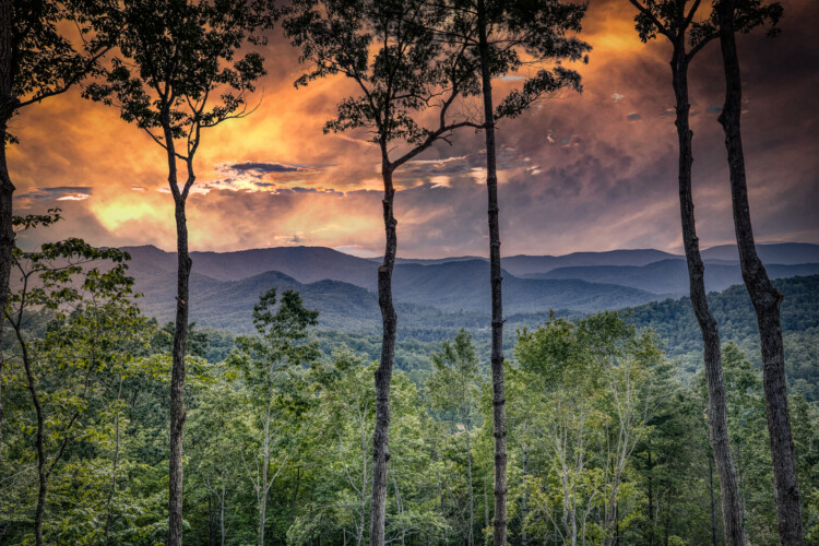 pet friendly cabins in blue ridge ga