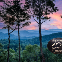 pet friendly cabins in blue ridge ga