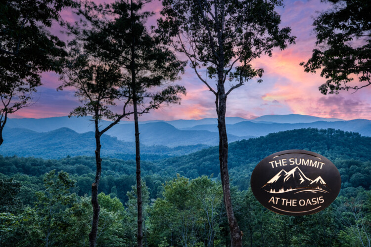 pet friendly cabins in blue ridge ga