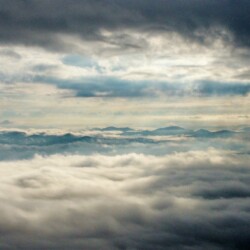 pet friendly cabins in blue ridge ga