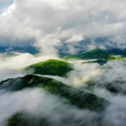 pet friendly cabins in blue ridge ga