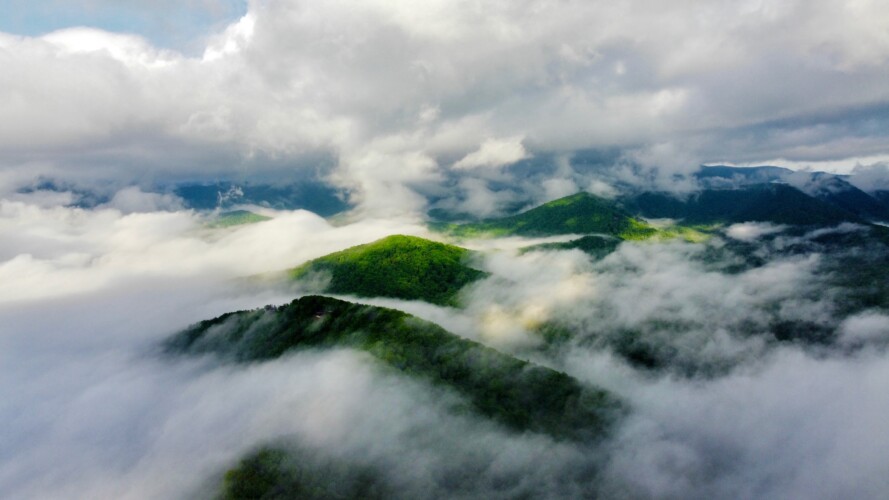 pet friendly cabins in blue ridge ga