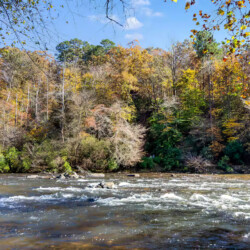 cabins for rent in ellijay