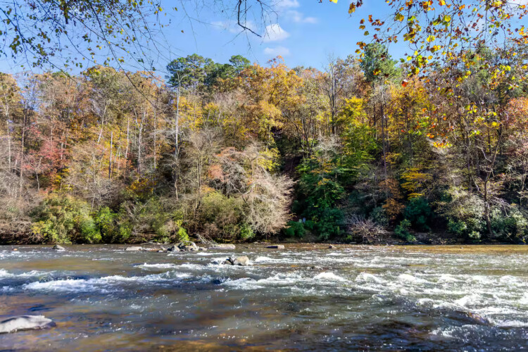 cabins for rent in ellijay