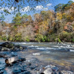 cabins for rent in ellijay