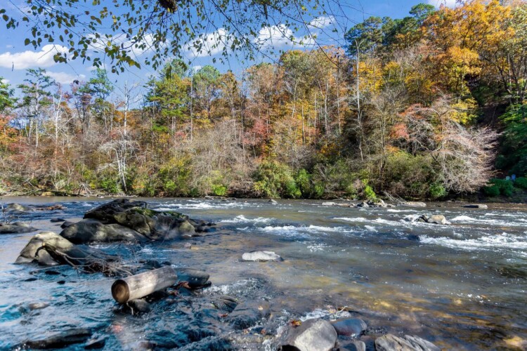 cabins for rent in ellijay