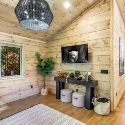 cabins for rent in ellijay