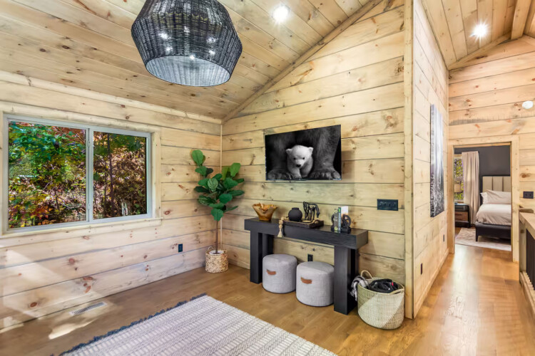 cabins for rent in ellijay