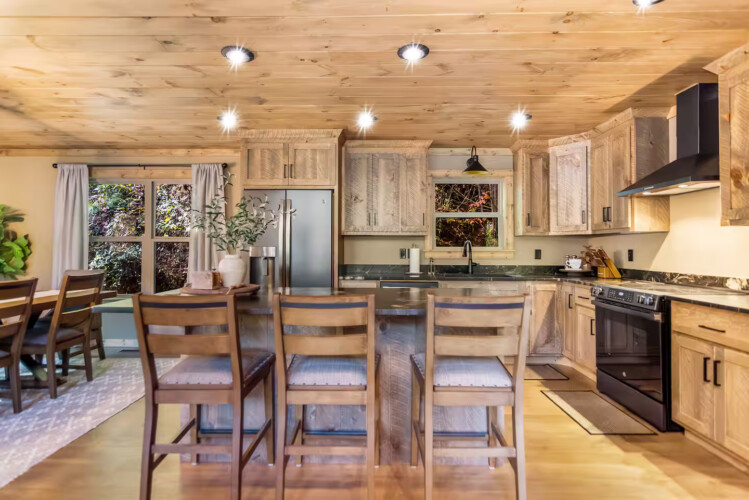 cabins for rent in ellijay