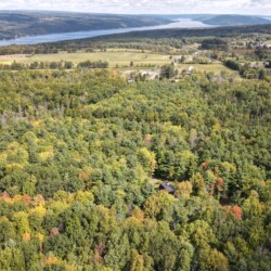 private cabin rentals upstate ny