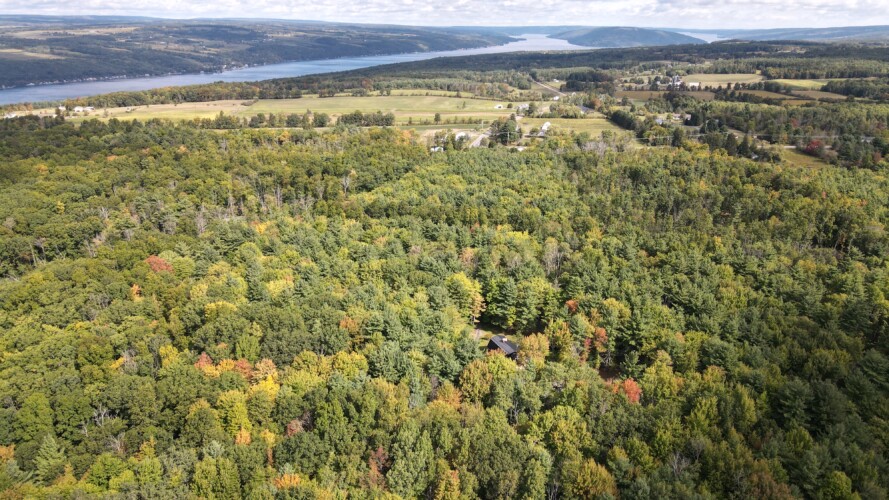 private cabin rentals upstate ny