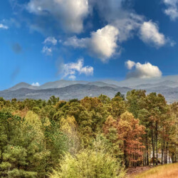 6 br mineral bluff ga cabin rentals