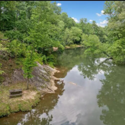 cabins near helen ga