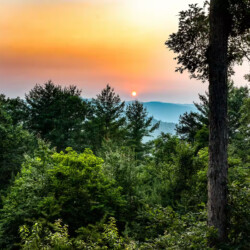 kid friendly cabins near me