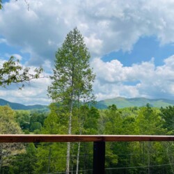 young harris cabin rental