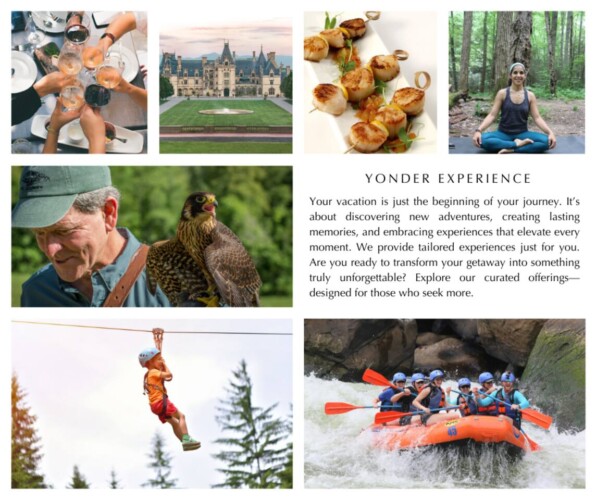 cabin rentals maggie valley nc