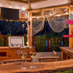 pet friendly cabins in pigeon forge