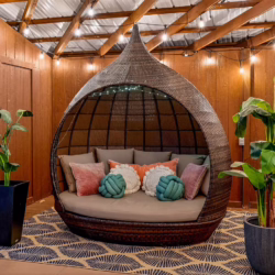 pet friendly cabins in pigeon forge