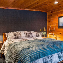 pet friendly cabins in pigeon forge