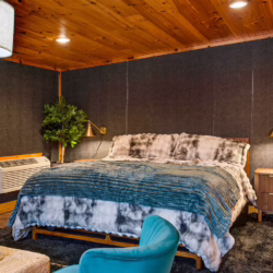 pet friendly cabins in pigeon forge