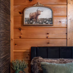 pet friendly cabins in pigeon forge