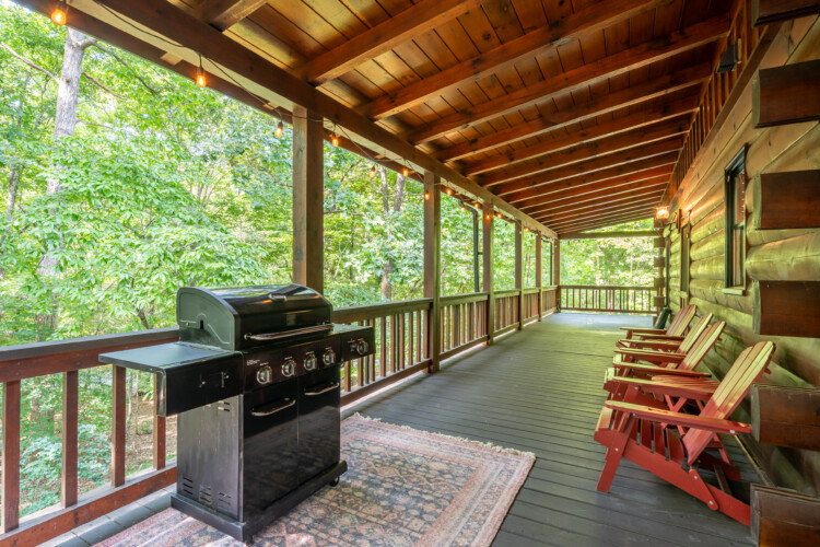 lake blue ridge cabin rental