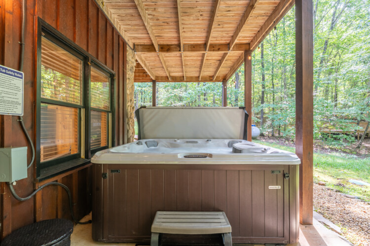 lake blue ridge cabin rental