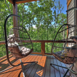 north ga cabin rentals pet friendly