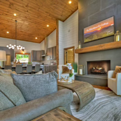 north ga cabin rentals pet friendly