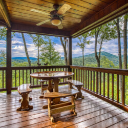 pet friendly aska adventure area cabin rentals