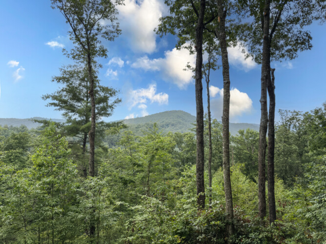 pet friendly aska adventure area cabin rentals