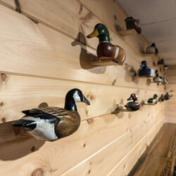 pet friendly aska adventure area cabin rentals