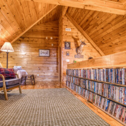 pet friendly aska adventure area cabin rentals