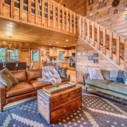 pet friendly aska adventure area cabin rentals