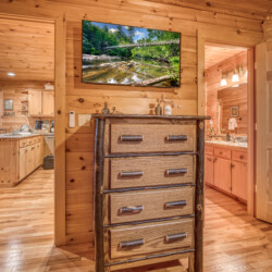 pet friendly aska adventure area cabin rentals