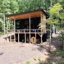 pet friendly blue ridge georgia cabin with sauna and hot tub