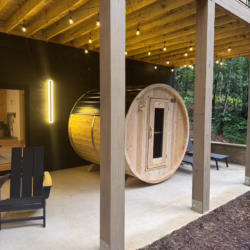 pet friendly blue ridge georgia cabin with sauna and hot tub