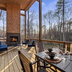 pet friendly blue ridge georgia cabin with sauna and hot tub