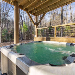 pet friendly blue ridge georgia cabin with sauna and hot tub