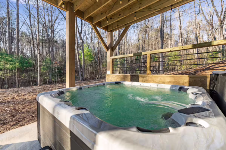 pet friendly blue ridge georgia cabin with sauna and hot tub