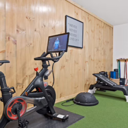 pet friendly blue ridge georgia cabin with sauna and hot tub