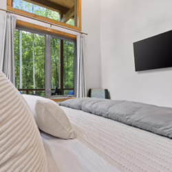 pet friendly blue ridge georgia cabin with sauna and hot tub