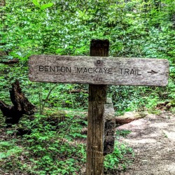 creekside cabin rentals blue ridge georgia