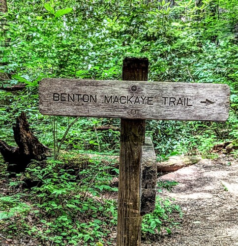 creekside cabin rentals blue ridge georgia